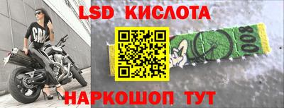 крисы Камышлов
