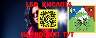 крисы Камышлов