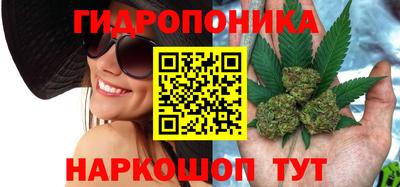 твердый Канаш