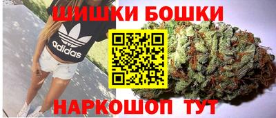 крисы Камышлов