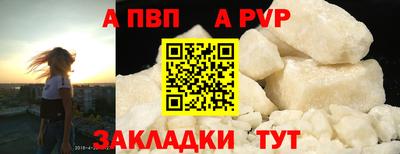 крисы Камышлов