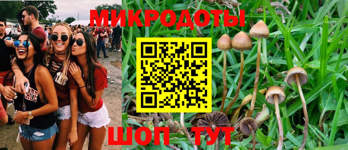 закладки  Галлюциногенные грибы GOLDEN TEACHER  Вход с VPN  Кубинка 
